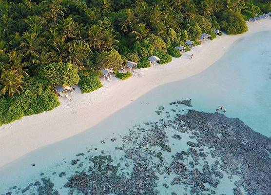 Plumeria Maldives 1