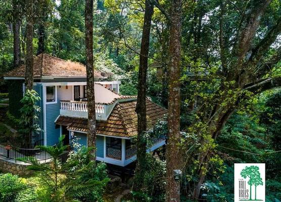 The Tall Trees Munnar 1