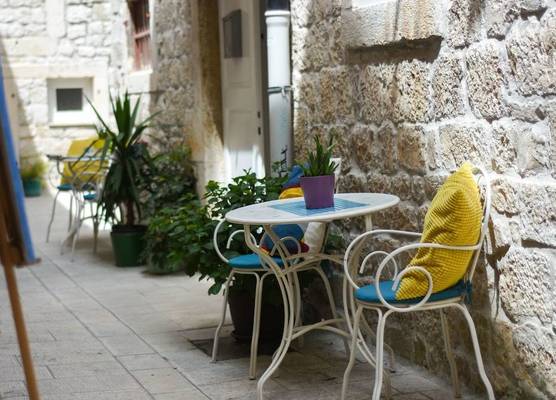 Tragos Lemon Tree 1
