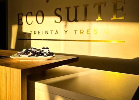 Eco Suite 1