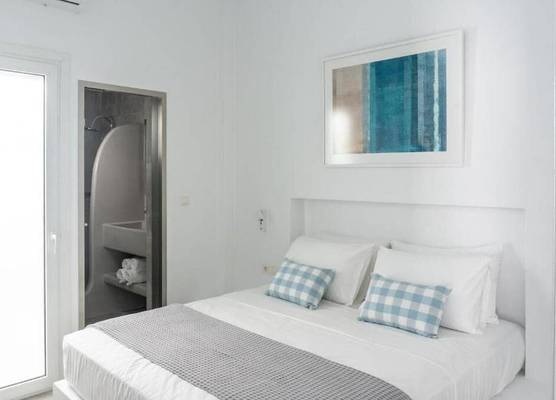 Pelican Paros 1