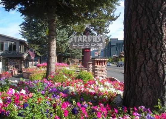 Stardust Lodge 1