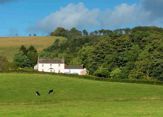 Bishopcleugh Guest House 1