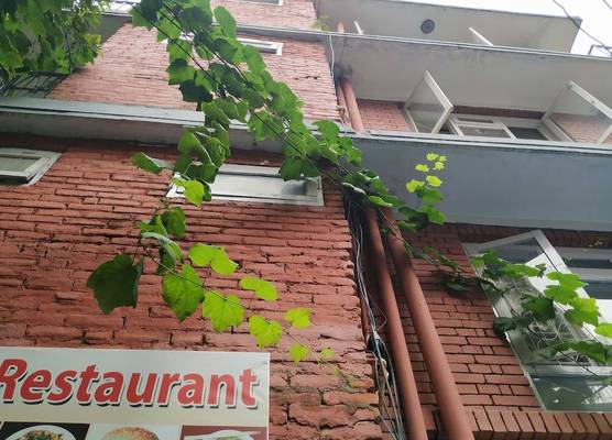 Beehive Hostel Kathmandu 1