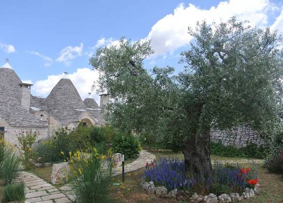 Trulli Paparale 1