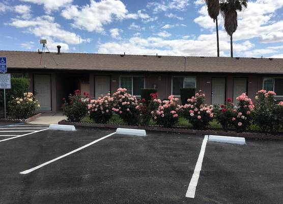 Maple Inn & Suites 1