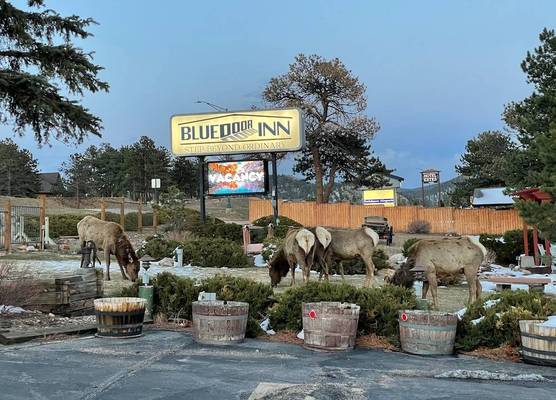 Blue Door Inn 1