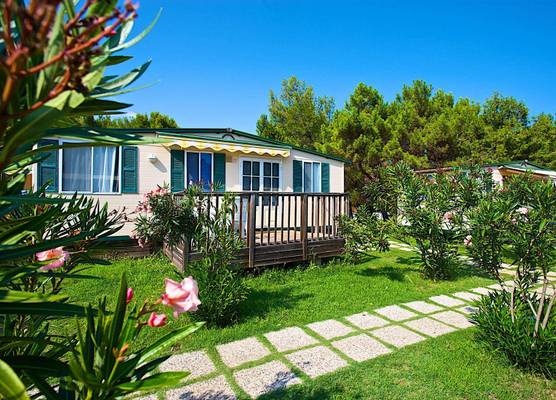 Arena Stupice Campsite 1