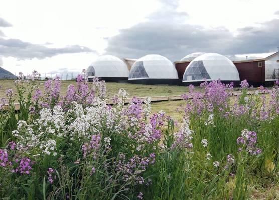 Garden Domes 1