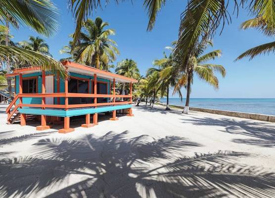 Blue Marlin Beach Resort 1