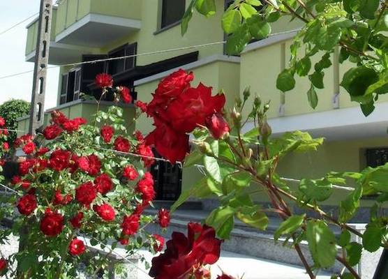 Albergo Residence Isotta 1