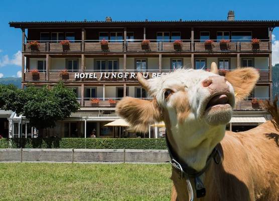 Jungfrau Hotel 1