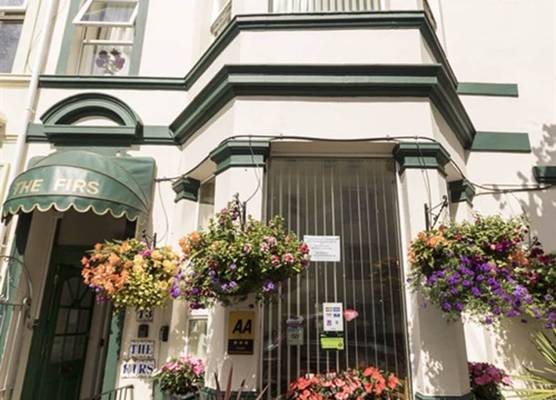 The Firs Bed and Breakfast 1