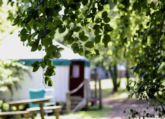 Yurtcamp Devon 1