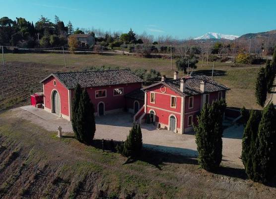 Cantina D'Erasmo 1