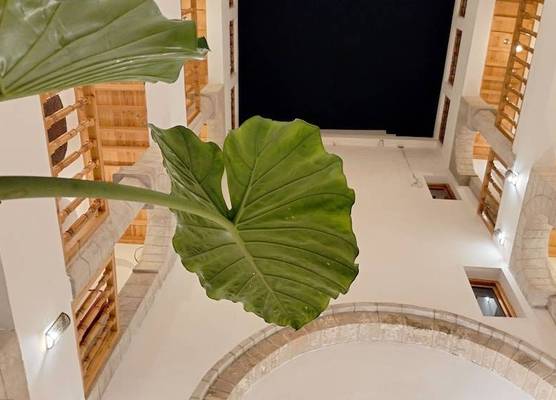 Riad Al Manara 1