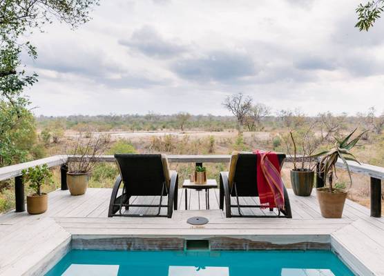 Thornybush Simbambili Lodge 1