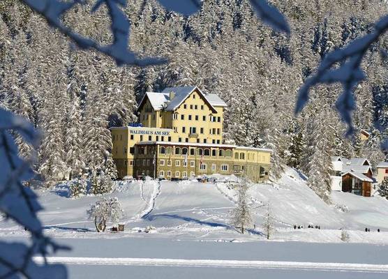 Hotel Waldhaus am See 1