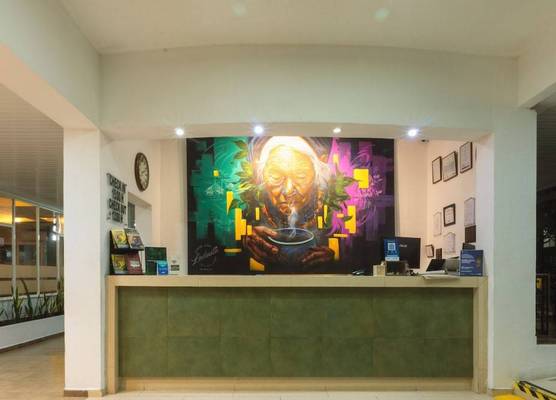 Waira Suites 1