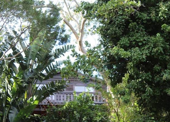 Treehouse Cottage 1