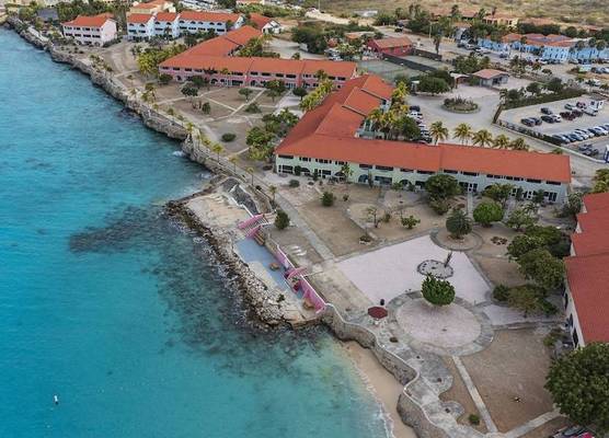 Sand Dollar Bonaire 1
