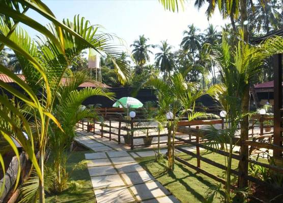 Club Palolem 1