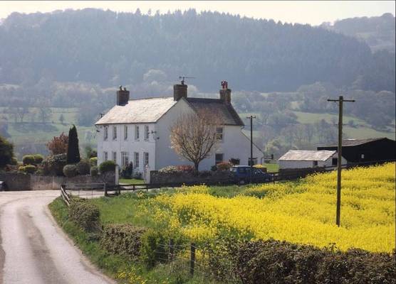 Hardwick Farm 1
