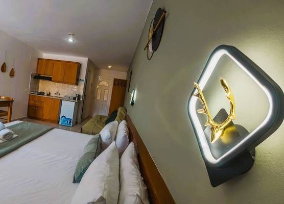 Melitsa Corfu Hotel 1
