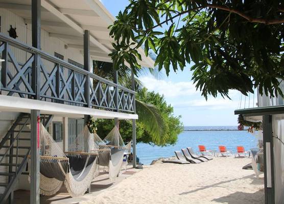 Coral Reef Beach 1