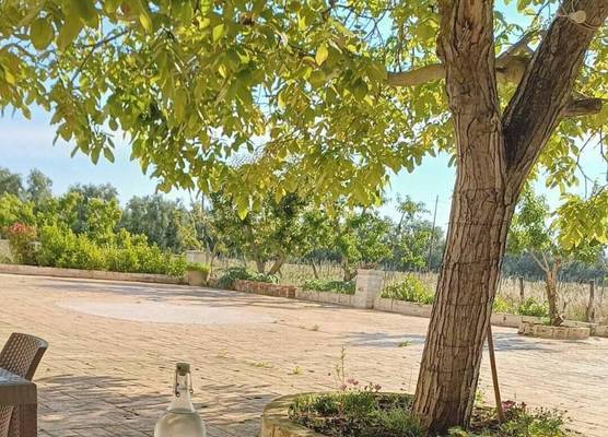 Tenuta Vigna del Noce 1