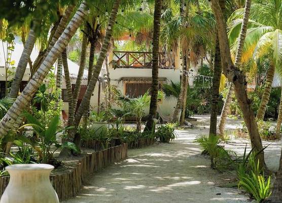Zomay Beachfront Holbox 1