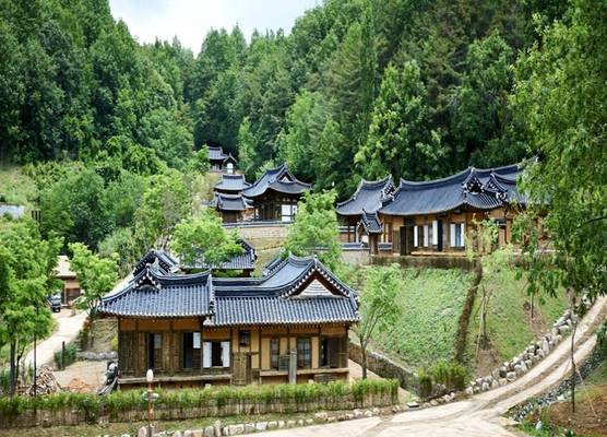 Andong Gurume Resort 1