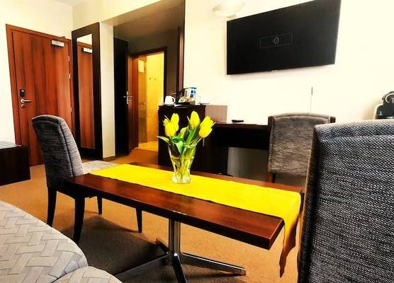 Hotel Zamek Centrum 1