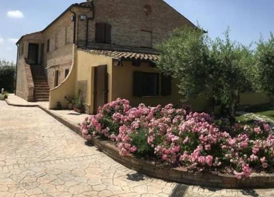 B&B Casa Fanny Riviera Del Conero 1