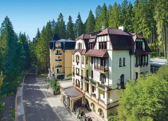 Spa & Wellness Hotel St. Moritz 1