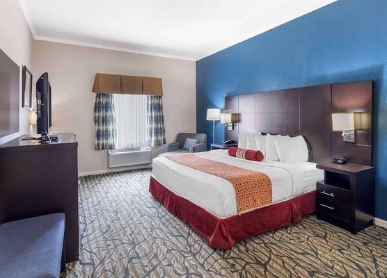 Best Western Spring Hill Inn & Suites 1
