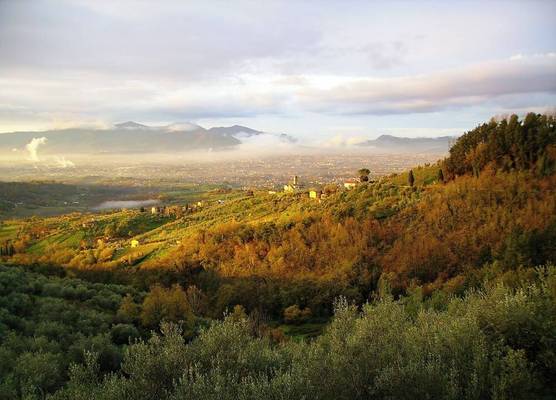 Fattoria Gambaro di Petrognano 1
