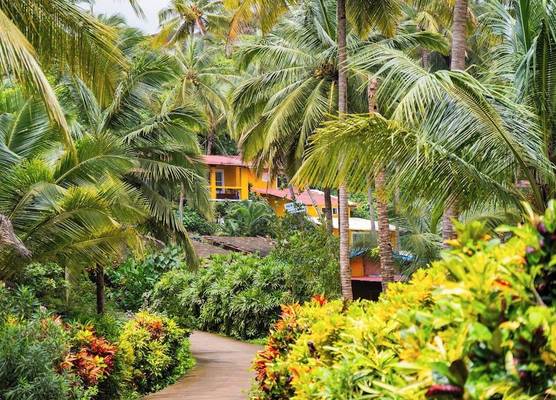 Palm Beach Lifestyle Resort Managed By Anusaksh 1