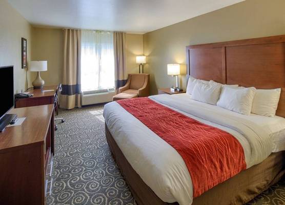 Spark by Hilton Brunswick 1