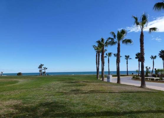 Apartamentos Oropesa Primera Línea 3000 1