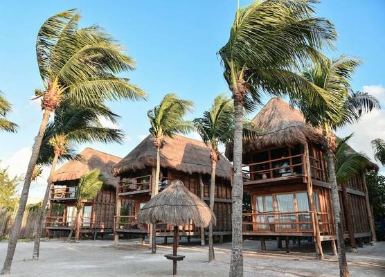 Blue Holbox 1