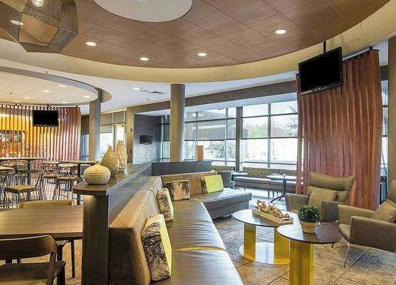 SpringHill Suites Tampa North/Tampa Palms 1
