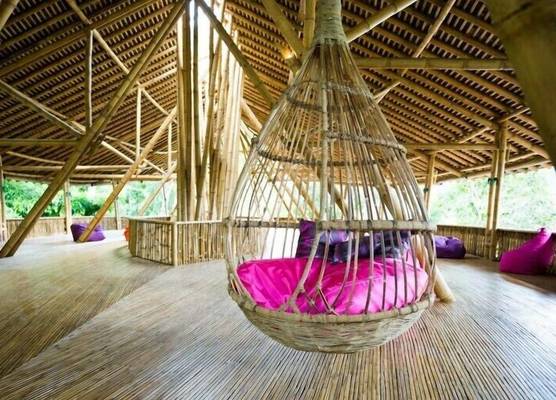Ecolodge Bukit Lawang 1