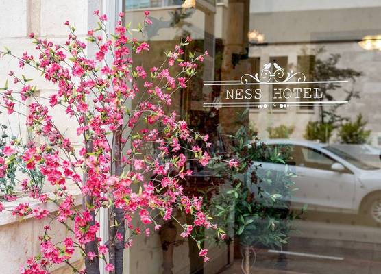 Ness Hotel 1