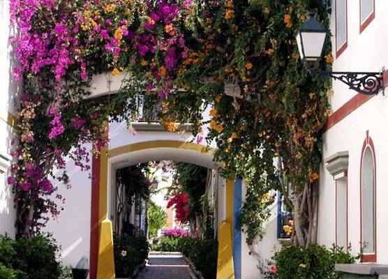Charming 1 Bedroom Apartment in Puerto de Mogán 1