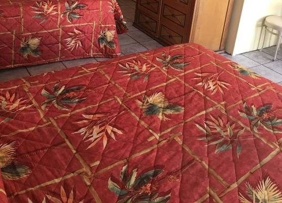 Shelton Motel 1