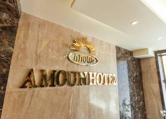 Amoun Hotel Alexandria 1