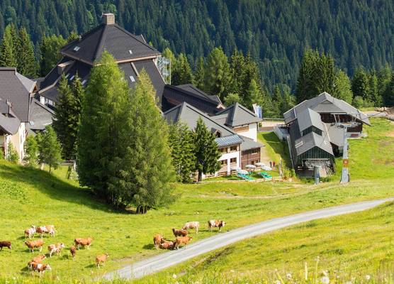 ALDIANA CLUB SCHLANITZEN ALM - Hermagor 1