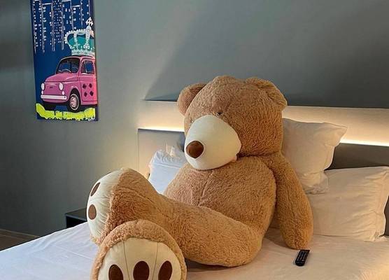 Arryvo Hotel 1
