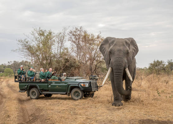 Karongwe- Shiduli Safari Lodge 1